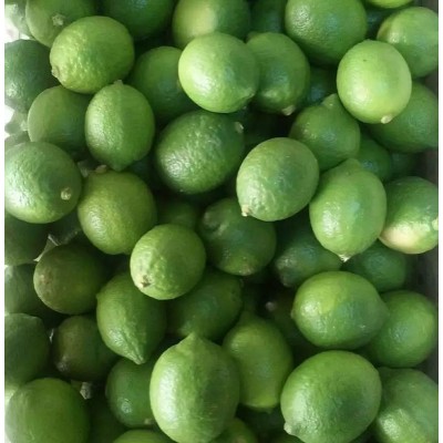 四川安岳青柠檬新鲜小中大果榨汁切片奶茶店专用皮薄多汁图3