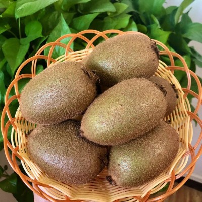 现货正宗陕西翠香猕猴桃5斤9斤周至猕猴桃新鲜水果直发绿心猕猴桃图2