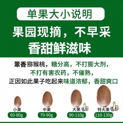 2023当季翠香猕猴桃精选大果绿心5斤水果新鲜整箱孕妇奇异果批发图4