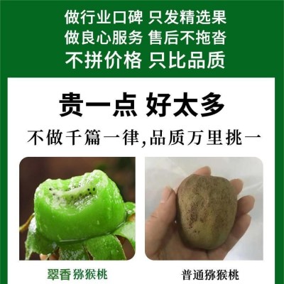 2023当季翠香猕猴桃手选中果绿心5斤水果新鲜整箱孕妇奇异果批发图2