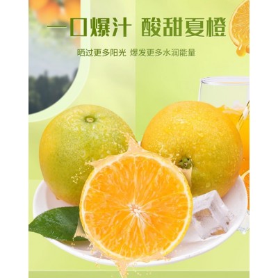 秭归夏橙9斤橙子批发榨汁专用水果新鲜当季整箱5斤赣南脐橙果冻橙图2