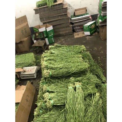 产地直销批发贡菜干 脱水蔬菜新鲜无叶苔菜响菜贡菜干货批发图2