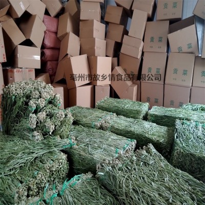 产地直发无叶贡菜 散装云南贡菜干苔菜干 火锅店专用脱水蔬菜图2