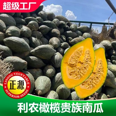 和利农正源橄榄贵族南瓜种籽肉厚香甜南瓜籽高产小南瓜蔬菜种子图3