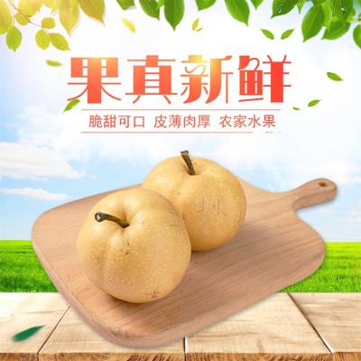 烟台莱阳丰水梨好新鲜产地发多汁甜新鲜水果莱阳梨1斤 一件代发梨图2
