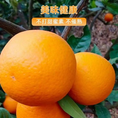 江西赣南脐橙生鲜水果橙子产地直采香甜爽口维生素汁水足质量保证图3