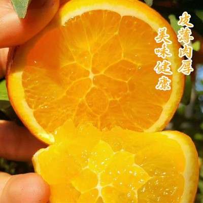 江西赣南脐橙生鲜水果橙子产地直采香甜爽口维生素汁水足质量保证图2