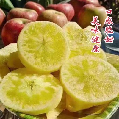 七彩之云批发当季云南昭通丑苹果冰糖心现摘现发新鲜脆甜一件代发图3