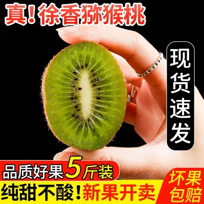 陕西周至徐香猕猴桃10斤奇异果新鲜当季孕妇水果绿心弥猴桃非整箱图2