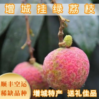 增城挂绿荔枝北园绿高端水果新鲜送礼精品礼盒装顺丰空运一件代发图3