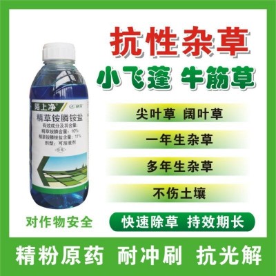 牛筋草小飞蓬果园茶园顽固性杂草除草剂陌上净 精草铵膦铵盐图2