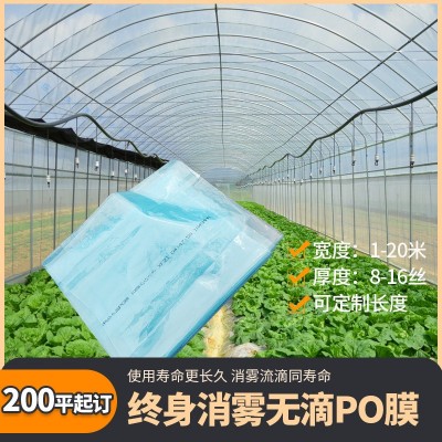 大棚膜批发农用聚乙烯塑料辣椒塑料膜大鹏种植膜温室透明大 棚po膜图3