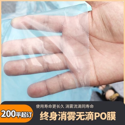 大棚膜批发农用聚乙烯塑料辣椒塑料膜大鹏种植膜温室透明大 棚po膜图2