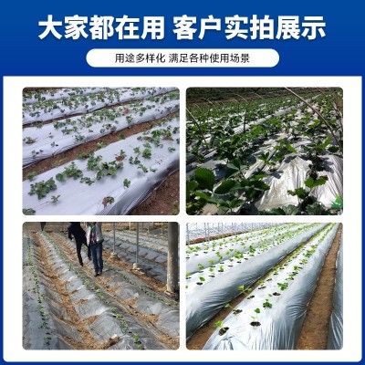 地膜薄膜地膜黑聚乙烯一次性PE银黑温室防草保温塑料打孔保温农膜图4