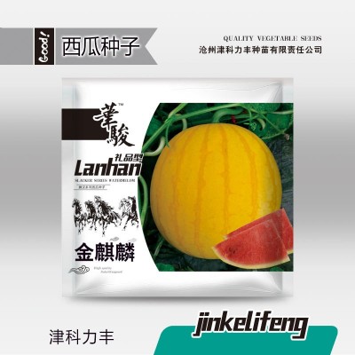 华骏金麒麟西瓜种子黄皮红壤红心种籽礼品型迷你瓜果超甜水果种子图2