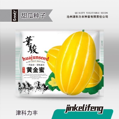 华骏黄金蜜甜瓜种子中厚皮香瓜种籽黄色特大超甜水果种孑瓜果籽种图2