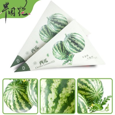 西瓜蔬果蔬菜花种籽子四季播易种原包装花卉植物开花种子混合懒人图4