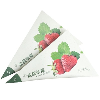 盆栽奶油草莓花种籽子四季播易种蔬果蔬菜植物开花种子懒人阳台图5