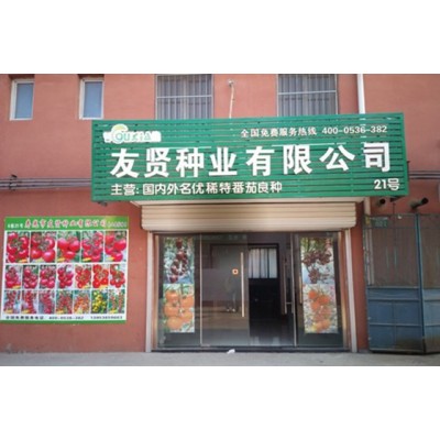 番茄种子西红柿种子红色樱桃小番茄种子红媚娘早春秋延种植图5