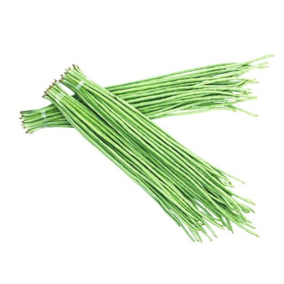 油白豆角种子豇豆种籽长豆角种孑豆子种杂交种植蔬菜种子公司批发图2