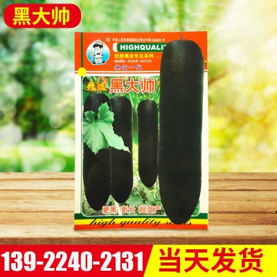 直销蔬菜种子黑大帅黑皮冬瓜皮光滑冬瓜种子易种快大 营养好