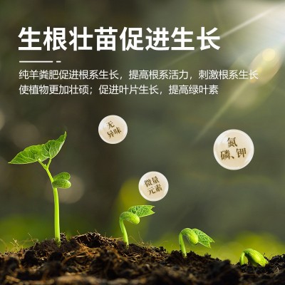内蒙古羊粪发酵有机肥腐熟纯羊粪粉末颗粒有机肥料蔬菜花卉 专用肥图3