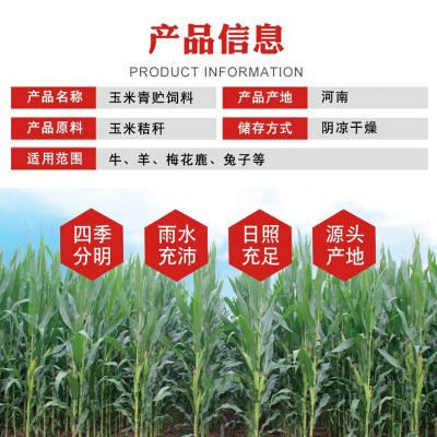 玉米叶子青储饲料 青绿草料袋装打包 养殖用玉米秸秆粗饲料 6吨图2