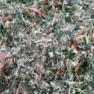 玉米叶子青储饲料 青绿草料袋装打包 养殖用玉米秸秆粗饲料 6吨图4