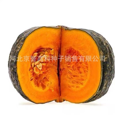 谢花面南瓜种子四季蔬菜种籽家庭园艺盆栽小院种孑易成活好管理图2