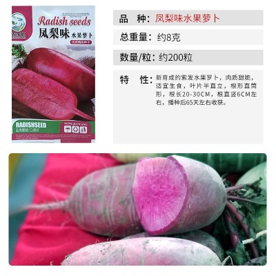 凤梨水果萝卜 红皮红肉多汁萝卜籽四季蔬菜种子阳台盆栽现货供应图2