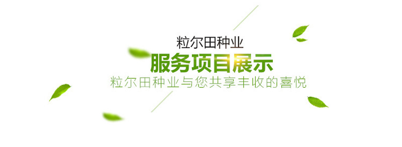 通用2