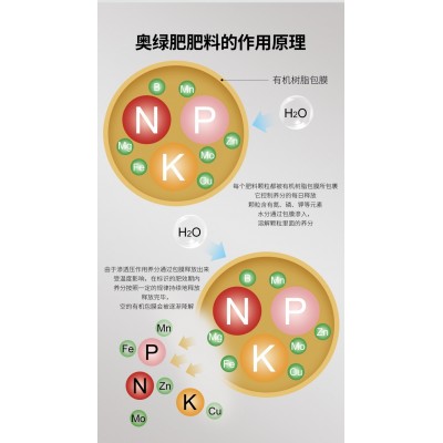 批发肥料奥绿肥A6通用型钙镁缓释肥草莓果蔬颗粒长效氮磷钾复合肥图3