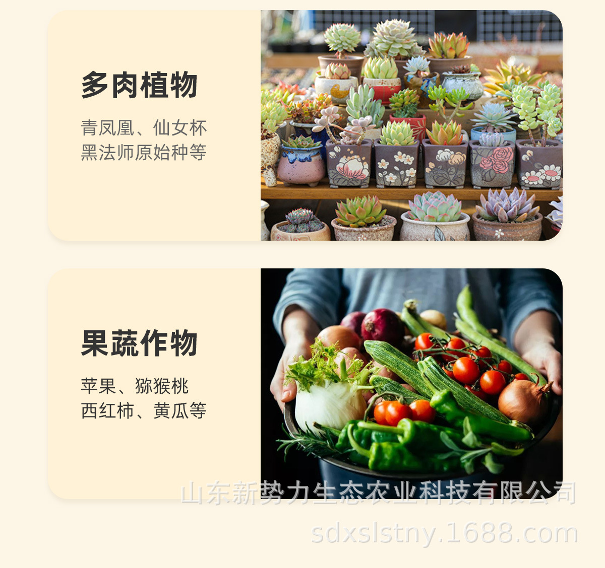 磷酸二氢钾_04.jpg