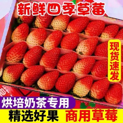 四季莓新鲜水果烘焙蛋糕茶饮双流莓时令夏季酸莓当季水果图4