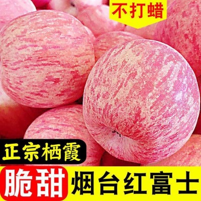 山东烟台红富士苹果当季现摘水果新鲜脆甜不打蜡带皮吃整箱包邮图2