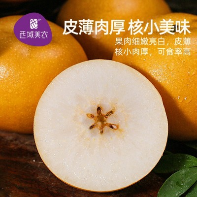 【可选顺丰】西域美农秋月梨4.5-5斤装 山东莱阳应季水果多汁脆甜图2