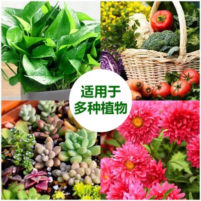 营养液花卉叶面肥绿植肥叶面肥浓缩型营养液 水培植物通用 3瓶图4
