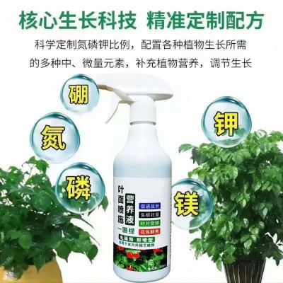 叶绿素免稀释营养液黄叶一喷绿花卉延长花期多肉生根壮根叶面肥料 2瓶图4