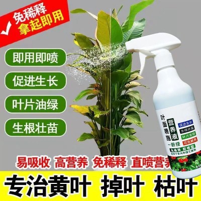 叶绿素免稀释营养液黄叶一喷绿花卉延长花期多肉生根壮根叶面肥料 2瓶图2