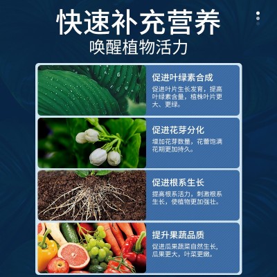 美国原料花卉专用肥市政园林农场肥料高磷钾肥育苗专用肥水溶肥 2袋图2