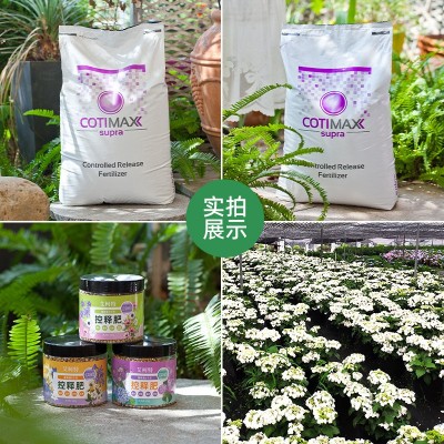 荷兰进口艾柯特控释肥氮肥花卉彩色开花均衡环保包膜缓释肥肥料 2袋图2