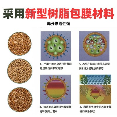 荷兰进口艾柯特控释肥氮肥花卉彩色开花均衡环保包膜缓释肥肥料 2袋图4