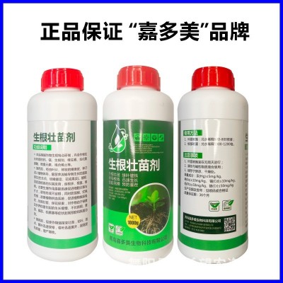生根壮苗剂 叶菜药材苗木生根壮根根多根旺叶面肥蔬菜通用生根液 1瓶图4