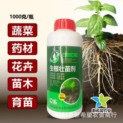 生根壮苗剂 叶菜药材苗木生根壮根根多根旺叶面肥蔬菜通用生根液 1瓶图3