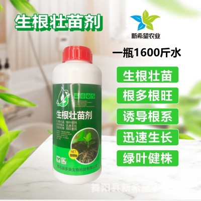 生根壮苗剂 叶菜药材苗木生根壮根根多根旺叶面肥蔬菜通用生根液 1瓶图2