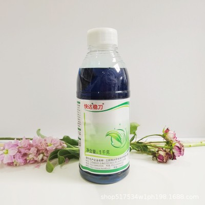 10%精草铵膦铵盐批发 草铵磷草胺磷 牛筋草小飞蓬除草剂草胺磷图3