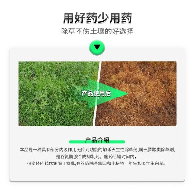 10%精草铵膦铵盐批发 草铵磷草胺磷 牛筋草小飞蓬除草剂草胺磷图2