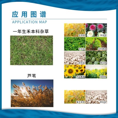 陶氏益农 盖草能 氟吡甲禾灵稗草芦苇一年生禾本科杂草除草剂农药图4