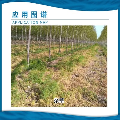 精逸10%精草铵膦铵盐精粉级林地草地荒地去杂草除草剂农药图4