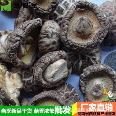 西峡花菇2.0-5.0菇世宝a级花菇 南北干货食用菌 产地货源片香菇 5件图2